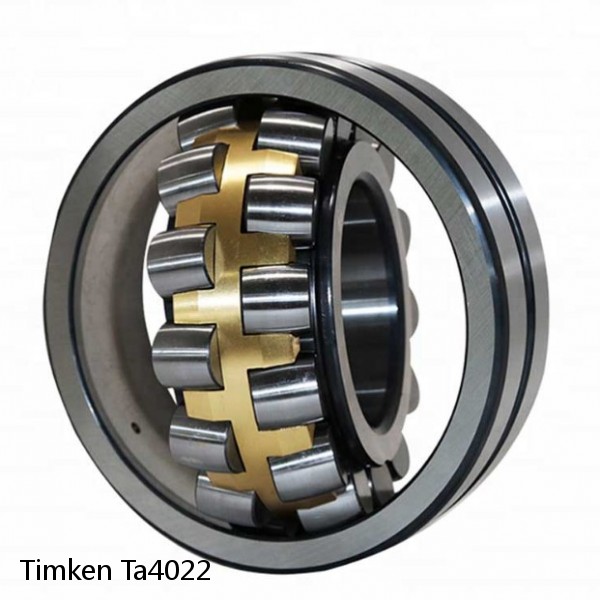 Ta4022 Timken Cylindrical Roller Radial Bearing