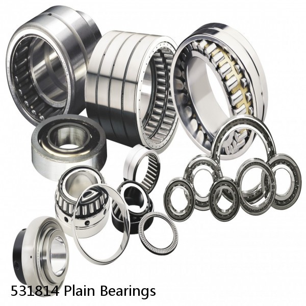 531814 Plain Bearings