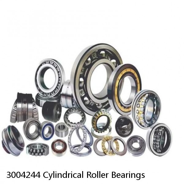 3004244 Cylindrical Roller Bearings