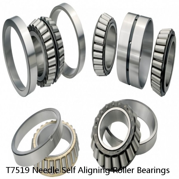 T7519 Needle Self Aligning Roller Bearings