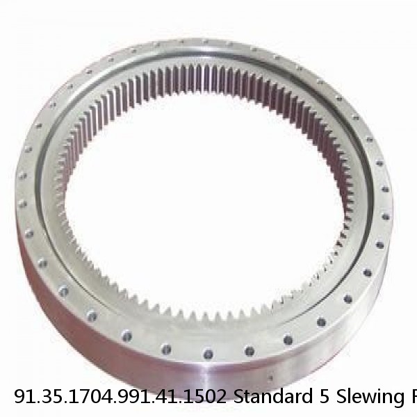 91.35.1704.991.41.1502 Standard 5 Slewing Ring Bearings