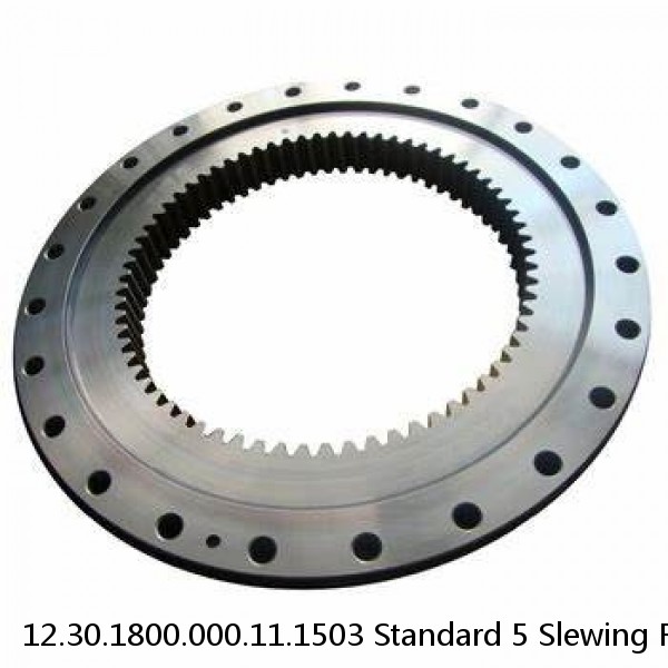 12.30.1800.000.11.1503 Standard 5 Slewing Ring Bearings