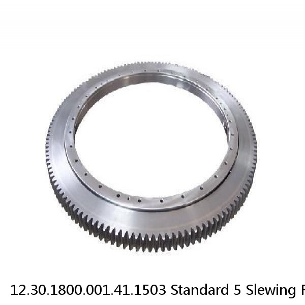 12.30.1800.001.41.1503 Standard 5 Slewing Ring Bearings