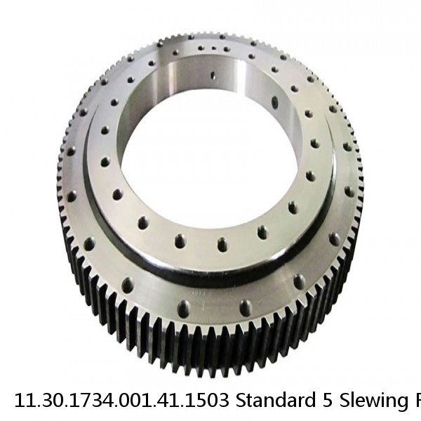 11.30.1734.001.41.1503 Standard 5 Slewing Ring Bearings