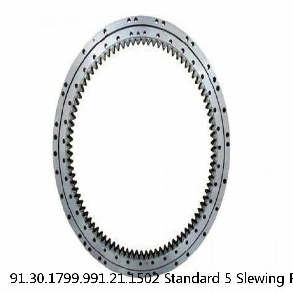 91.30.1799.991.21.1502 Standard 5 Slewing Ring Bearings