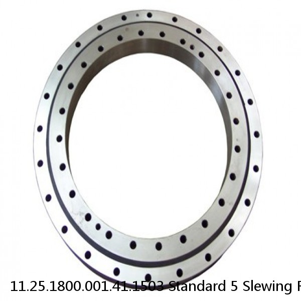 11.25.1800.001.41.1503 Standard 5 Slewing Ring Bearings