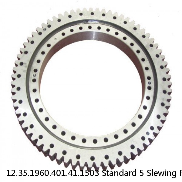 12.35.1960.401.41.1503 Standard 5 Slewing Ring Bearings