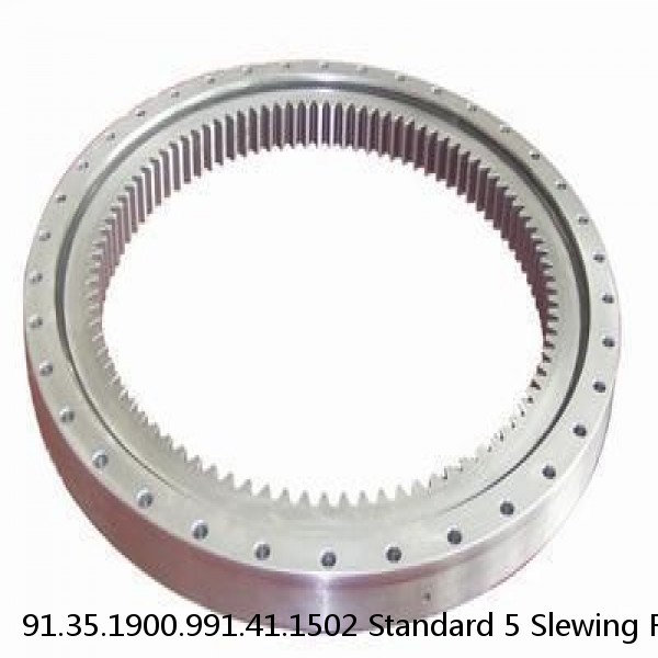 91.35.1900.991.41.1502 Standard 5 Slewing Ring Bearings