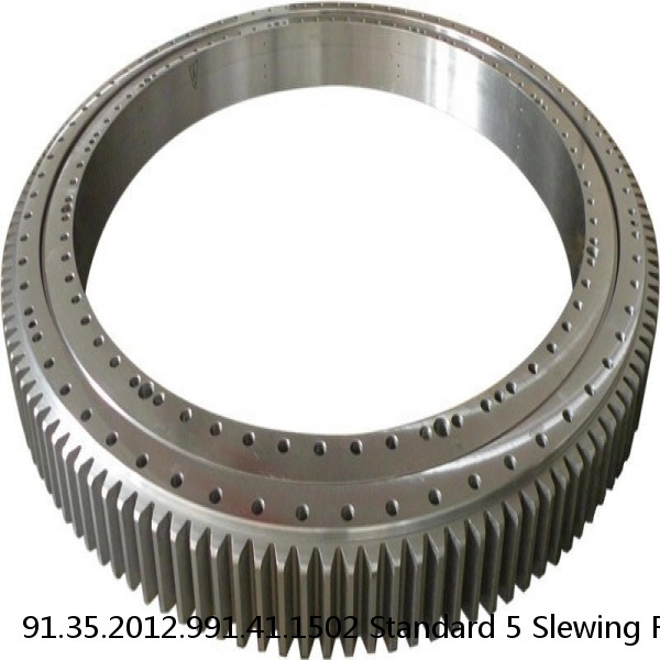 91.35.2012.991.41.1502 Standard 5 Slewing Ring Bearings