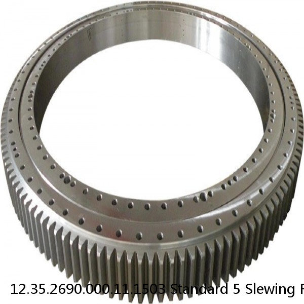 12.35.2690.000.11.1503 Standard 5 Slewing Ring Bearings