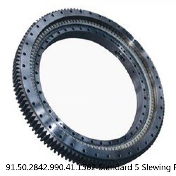 91.50.2842.990.41.1502 Standard 5 Slewing Ring Bearings