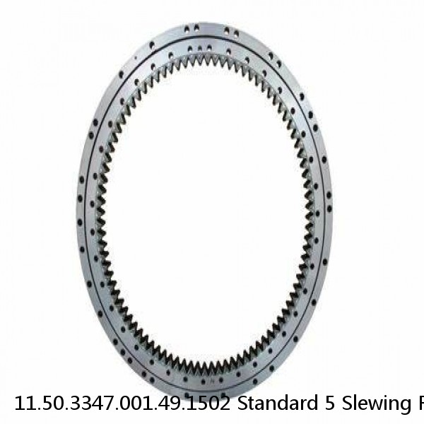 11.50.3347.001.49.1502 Standard 5 Slewing Ring Bearings