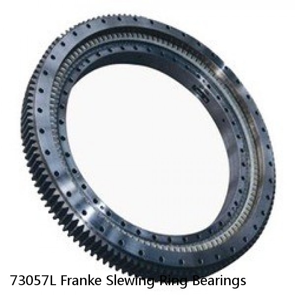 73057L Franke Slewing Ring Bearings