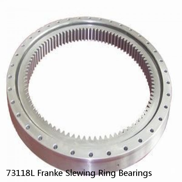 73118L Franke Slewing Ring Bearings