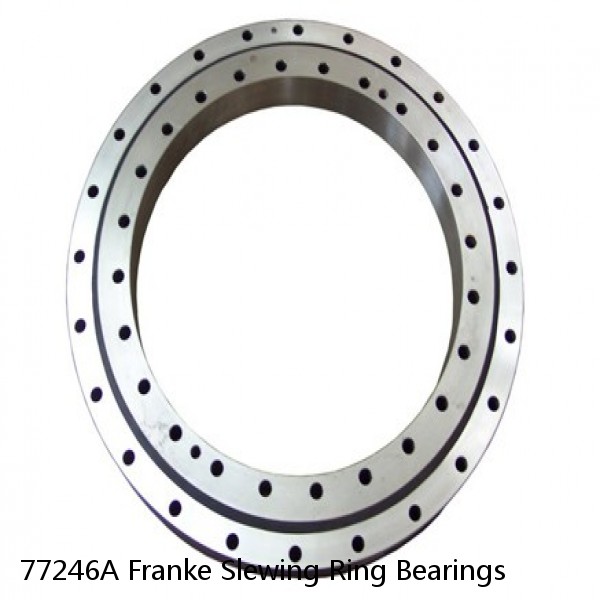 77246A Franke Slewing Ring Bearings