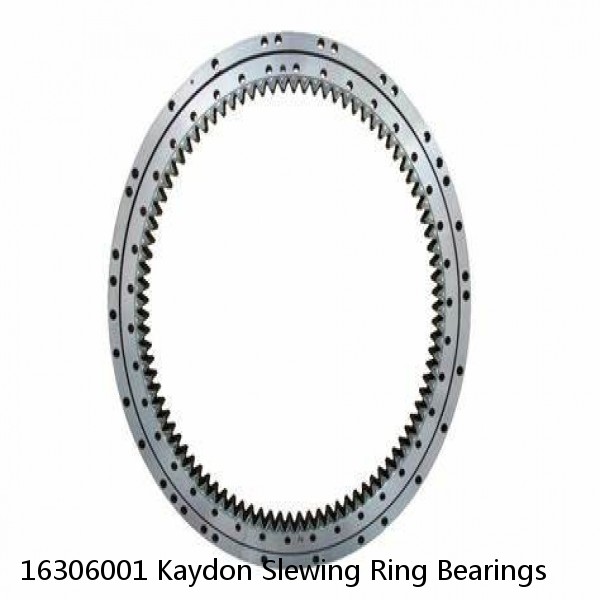 16306001 Kaydon Slewing Ring Bearings